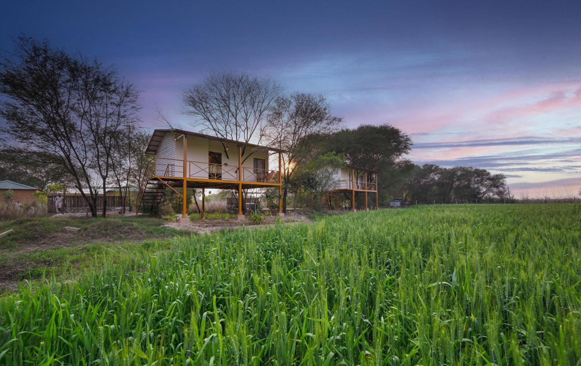 Bagh Serai - Rustic Cottage With Private Pool Sawai Madhopur Buitenkant foto